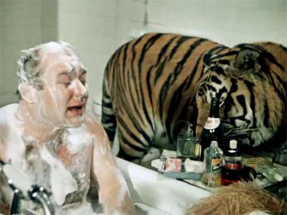 Lo Specchio, La Tigre E La Pianura [1961]